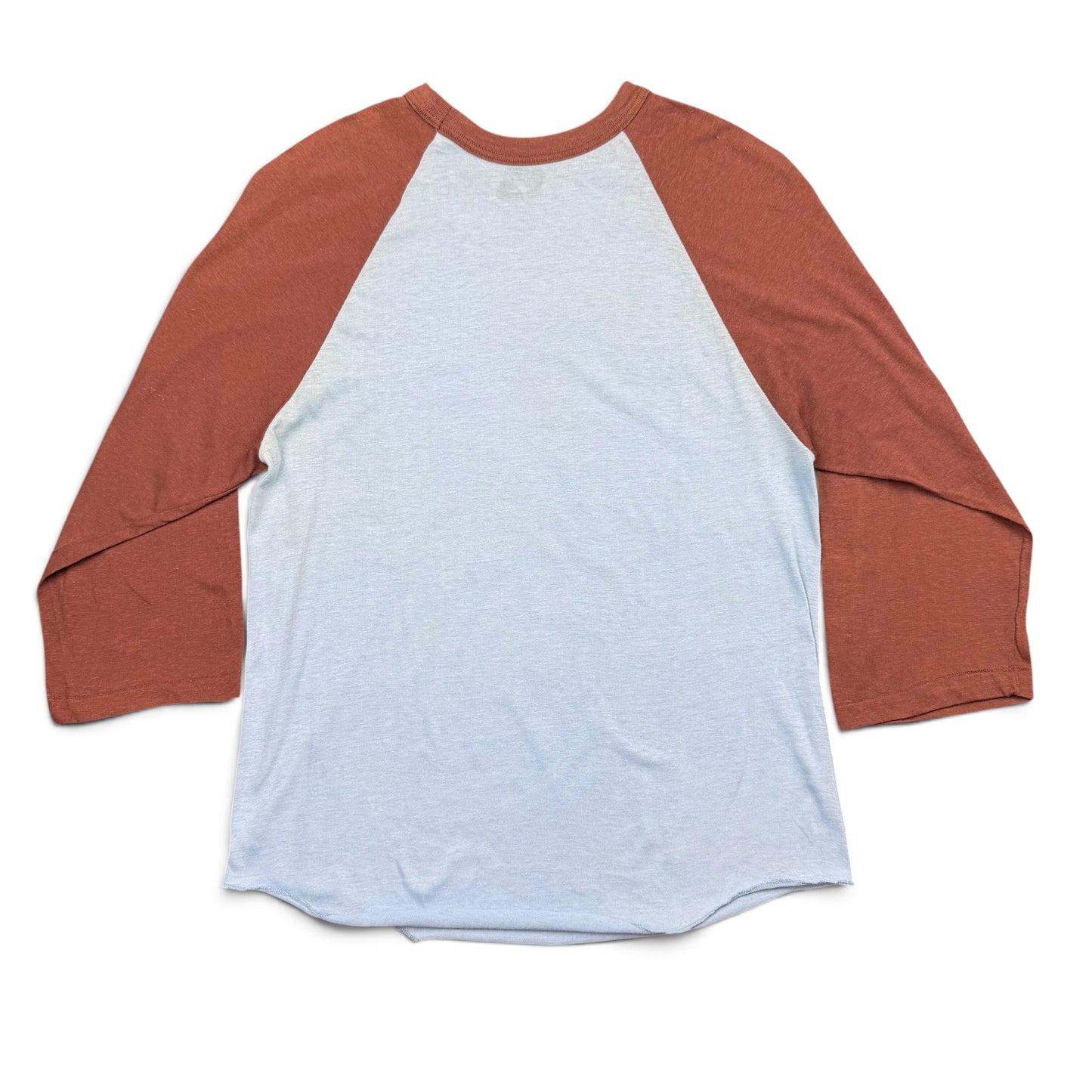 1970s Baby Blue and Brown Baseball T Shirt